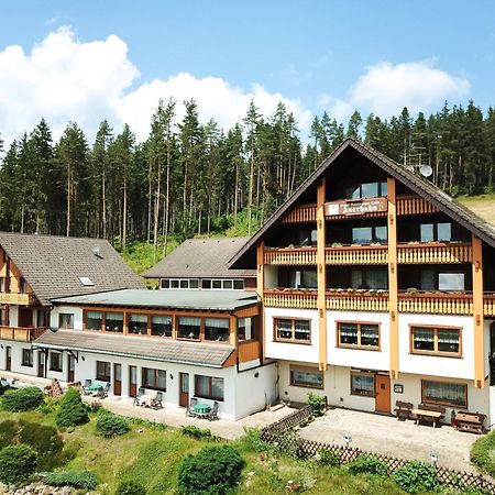 Auerhahn Bed And Breakfast - Black Forest - Waldhotel Eisenbach  Esterno foto