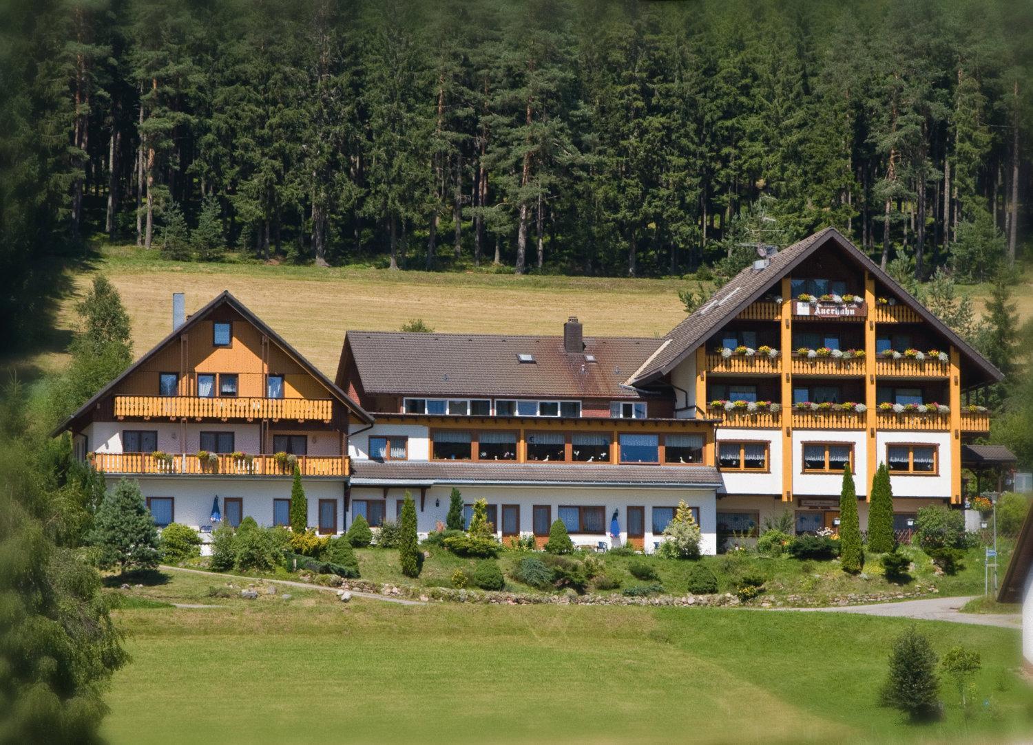 Auerhahn Bed And Breakfast - Black Forest - Waldhotel Eisenbach  Esterno foto