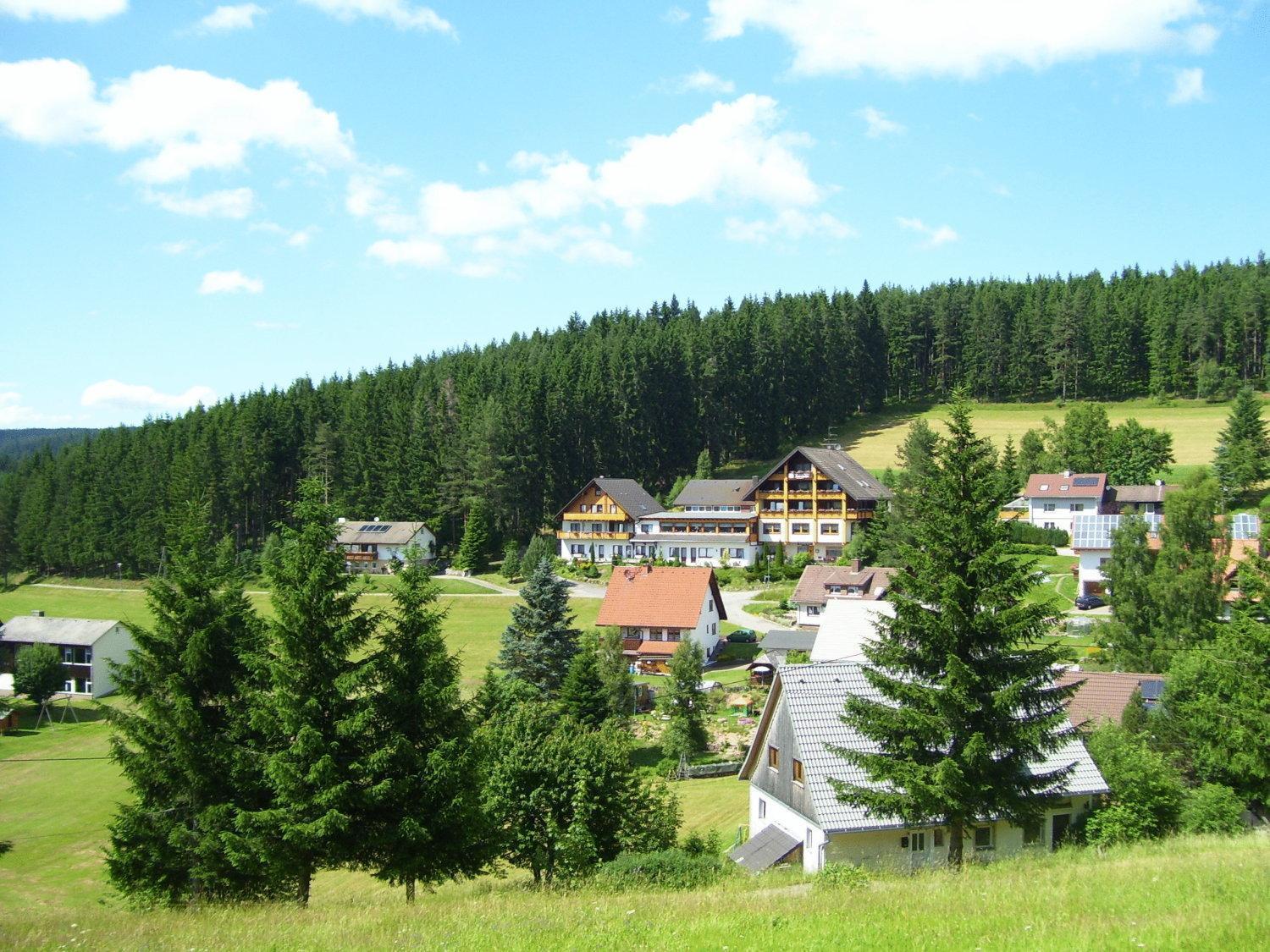 Auerhahn Bed And Breakfast - Black Forest - Waldhotel Eisenbach  Esterno foto