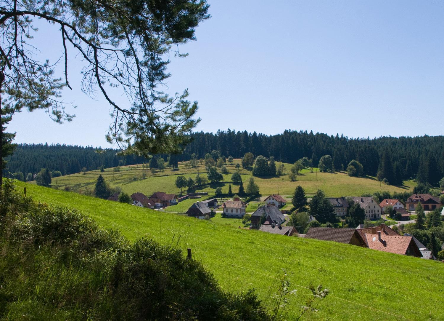 Auerhahn Bed And Breakfast - Black Forest - Waldhotel Eisenbach  Esterno foto