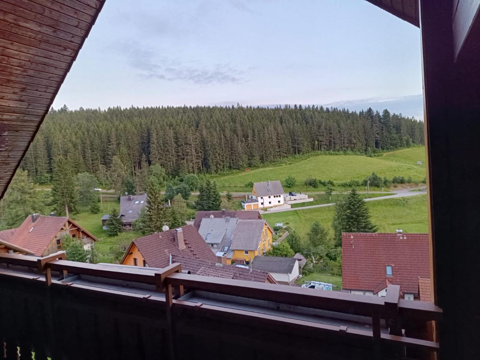 Auerhahn Bed And Breakfast - Black Forest - Waldhotel Eisenbach  Esterno foto