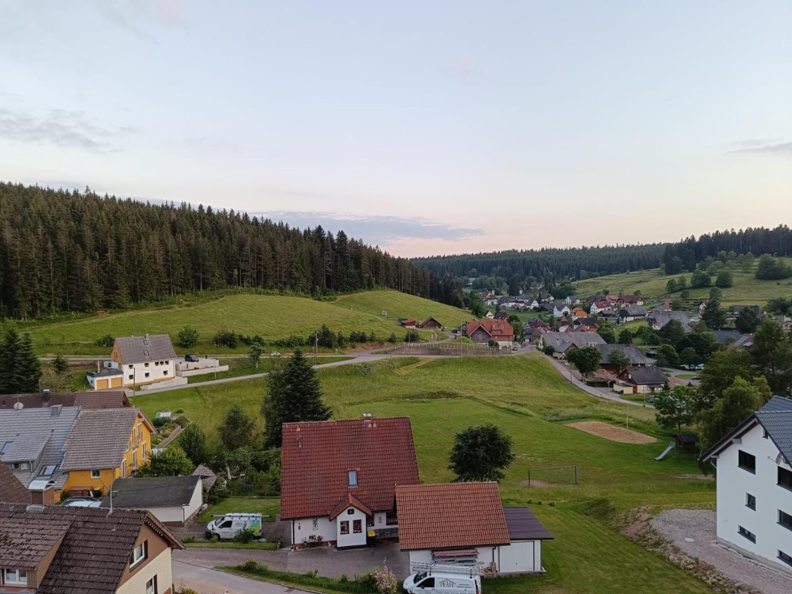 Auerhahn Bed And Breakfast - Black Forest - Waldhotel Eisenbach  Esterno foto