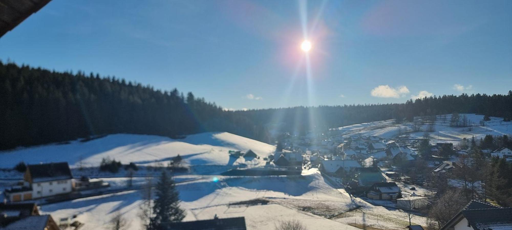 Auerhahn Bed And Breakfast - Black Forest - Waldhotel Eisenbach  Esterno foto