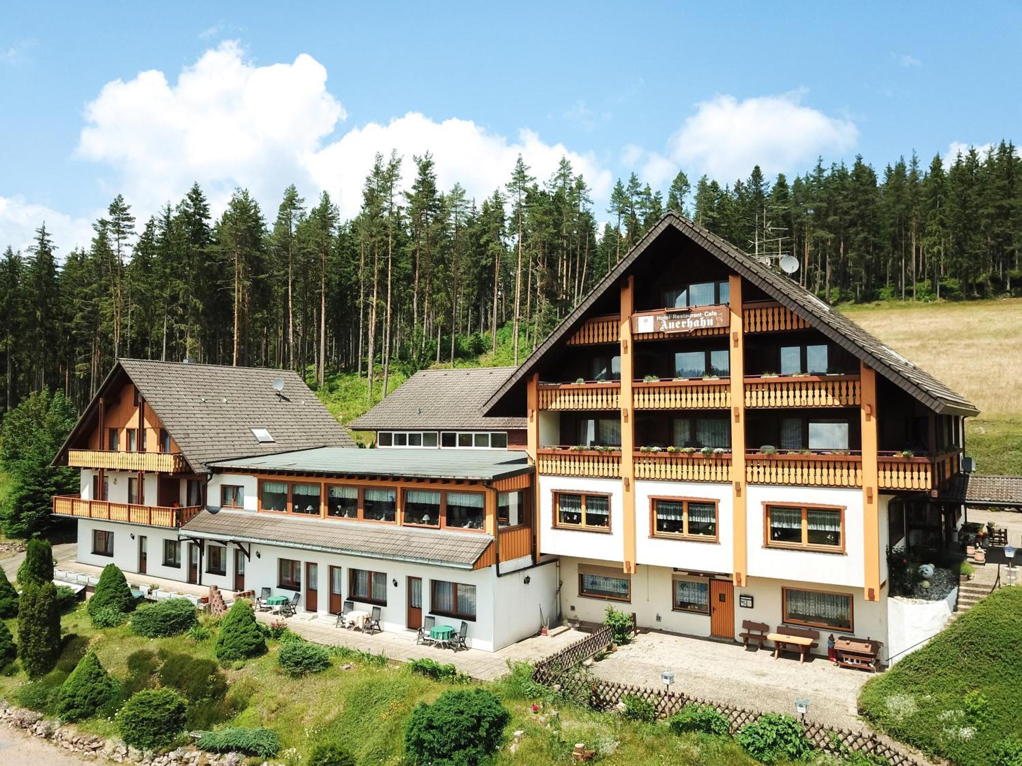 Auerhahn Bed And Breakfast - Black Forest - Waldhotel Eisenbach  Esterno foto