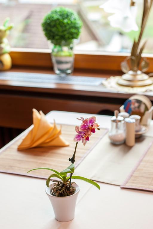 Auerhahn Bed And Breakfast - Black Forest - Waldhotel Eisenbach  Esterno foto